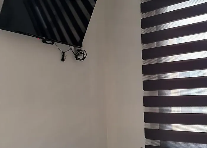 Frida's Apartment