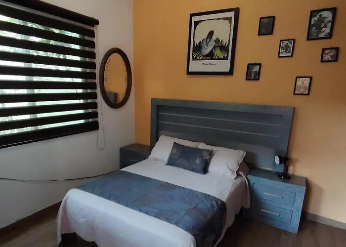 Apartment Frida's