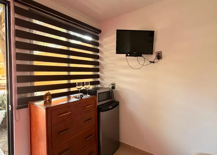 Apartment Frida's Mexico City